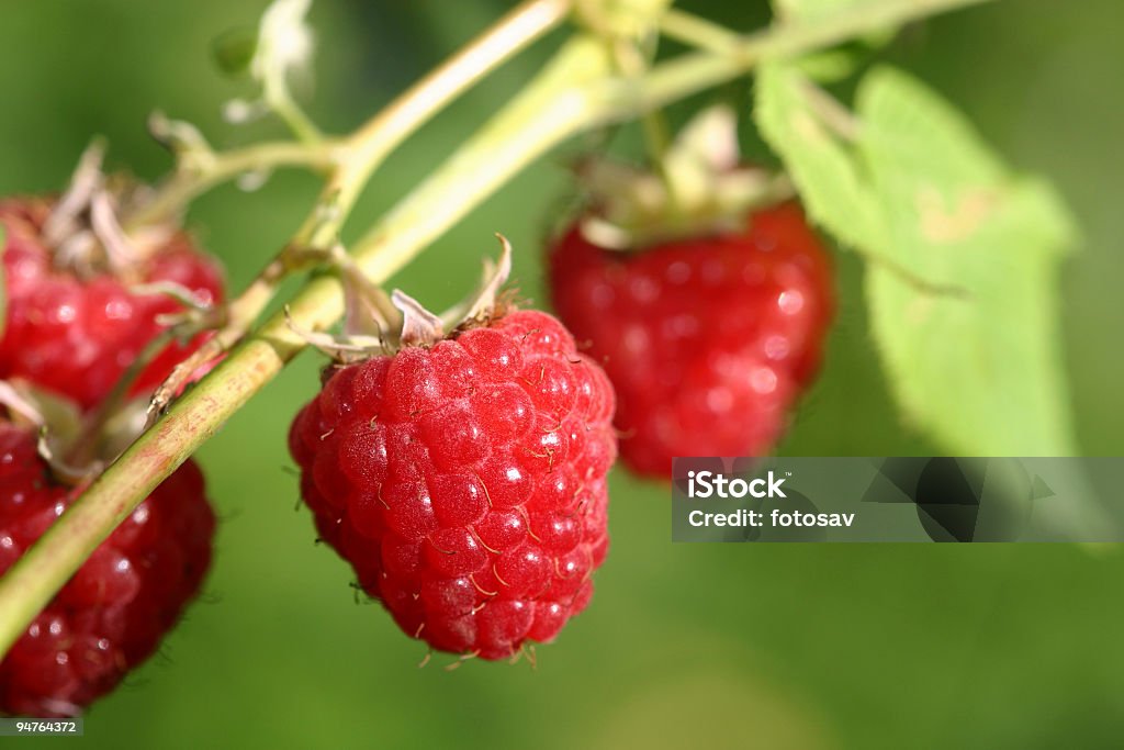 Himbeeren - Lizenzfrei Abstrakt Stock-Foto