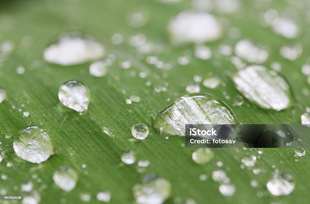 Gotas de lluvia - Foto de stock de Abstracto libre de derechos