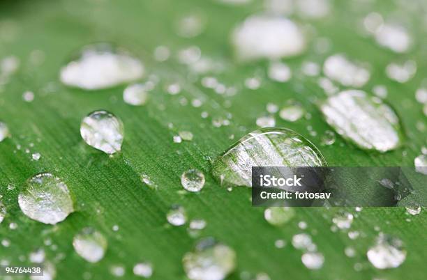 Gotas De Lluvia Foto de stock y más banco de imágenes de Abstracto - Abstracto, Arreglar, Bailar