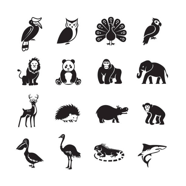 Animal icon Animal icon,figures of wild animals isolated on white background, simple clearly defined shapes in one color. hornbill stock illustrations