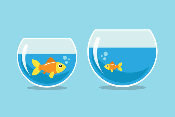 Golden fish Big and small goldfish looking at each other. Vector illustration goldfish bowl stock illustrations