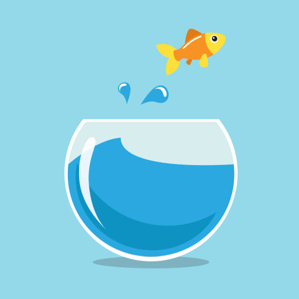 Golden fish Golden fish jumping outside the fisbowl. Vector illustration. fish in a bowl stock illustrations