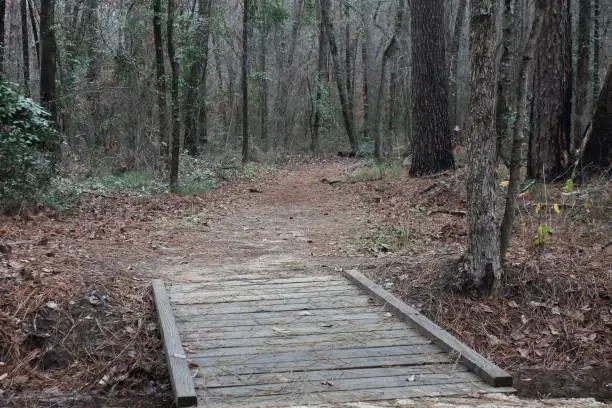 Wooden bridge entering a hiking trail into the woods.