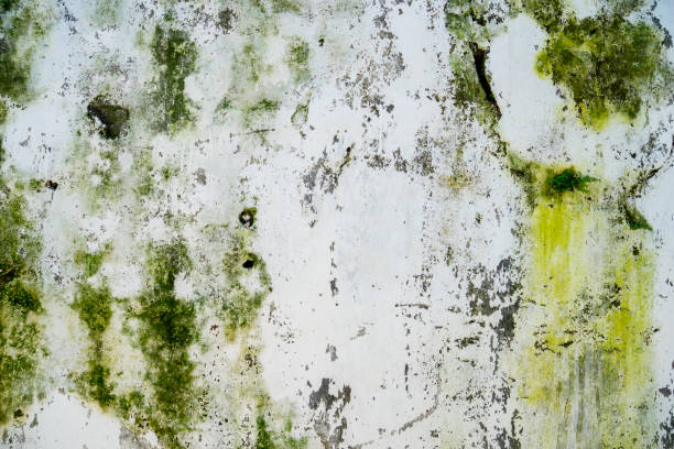 istock Dirty wall of an old house 947652504