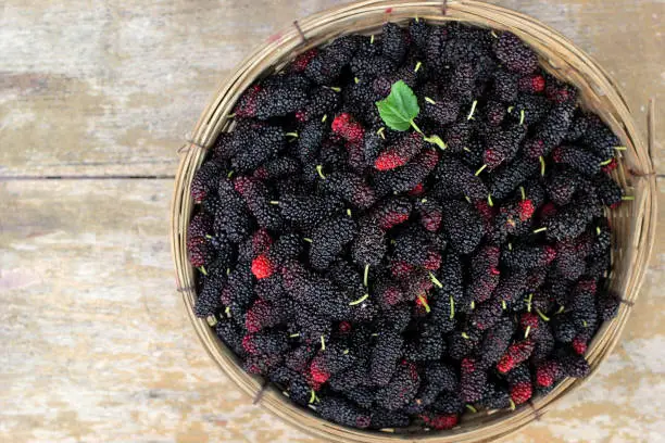 pile of mulberry fruit in wicker basket