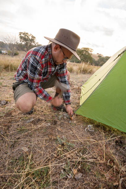 istock Cowboy in his hat hammers a peg into the hard soil 947655890