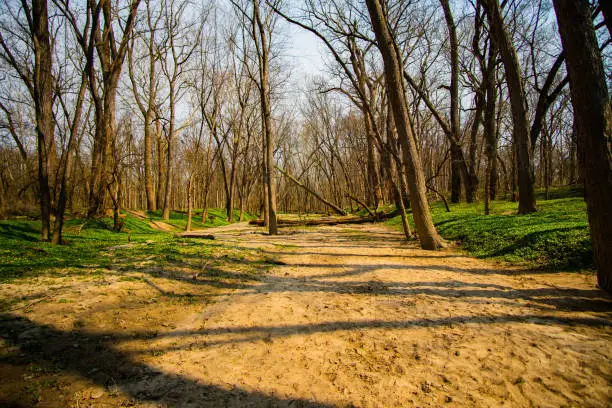 at a park with sand