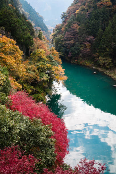 istock Japanese lake in autumn 947676406
