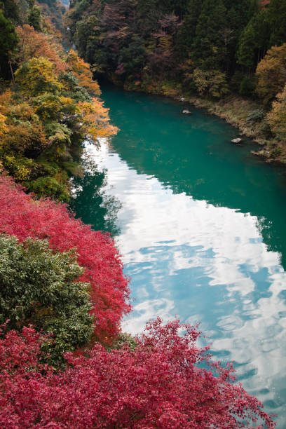 istock Japanese lake in autumn 947676418
