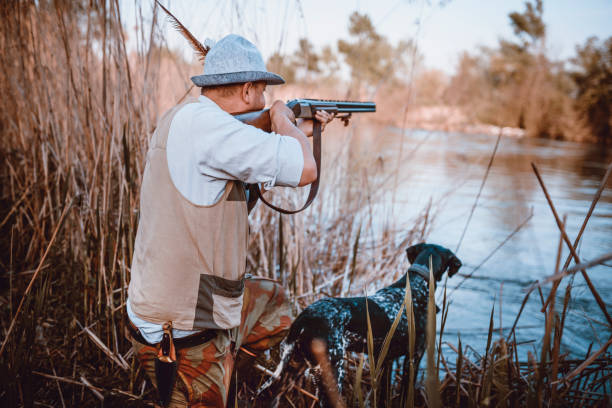 istock Hunter with his Dog Hiding in the Reed Waiting for Action 947676676