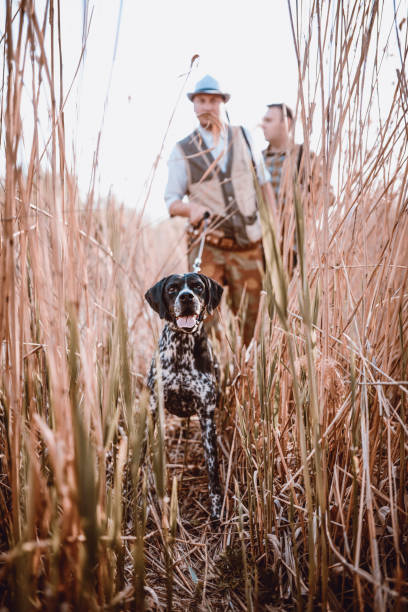 Group of Hunters with Their Dogs Going for Hunting Action