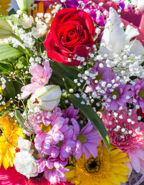istock Amazing colorful Spring flowers in nature 947683008