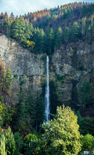 A waterfall outside of Portland.