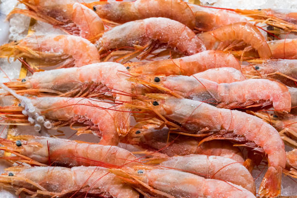 Frozen shrimps for sale stock photo