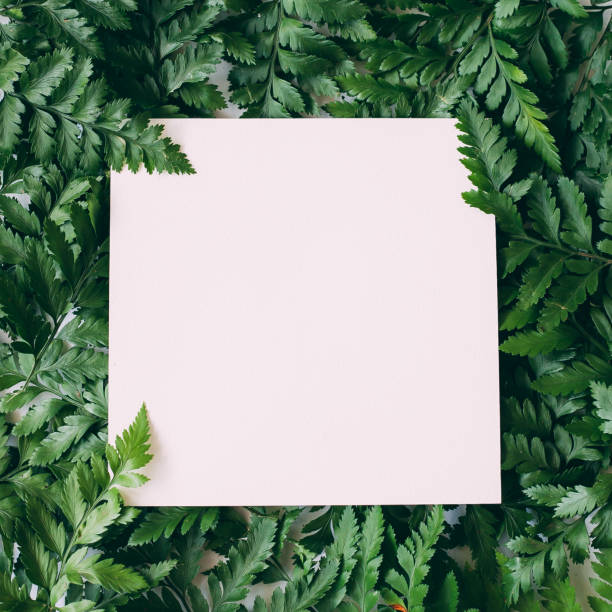 istock Green leaves background with white space 947691100
