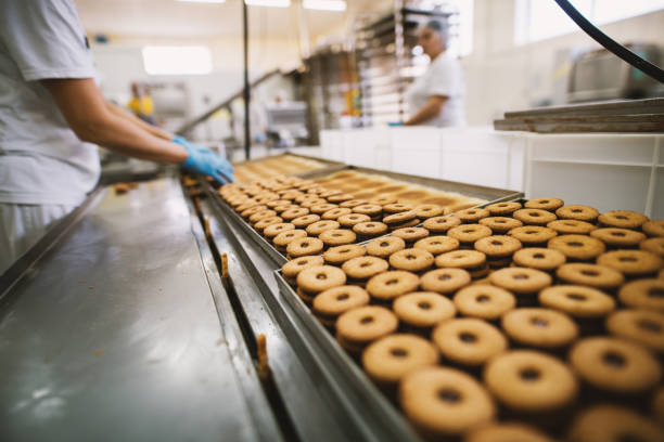 cookie factory, food industry. fabrication. cookie production. - cake chocolate cake chocolate gateaux imagens e fotografias de stock