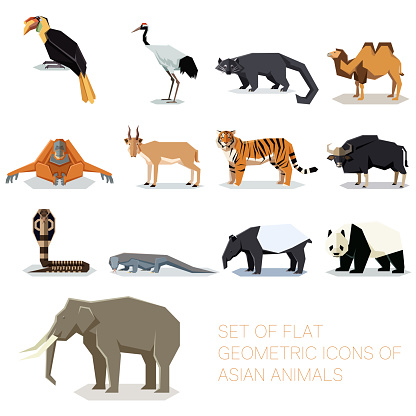 Vector image of the Set of flat geometric asian icons