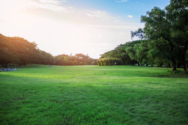 istock Lawn and people are relaxing. 947703794