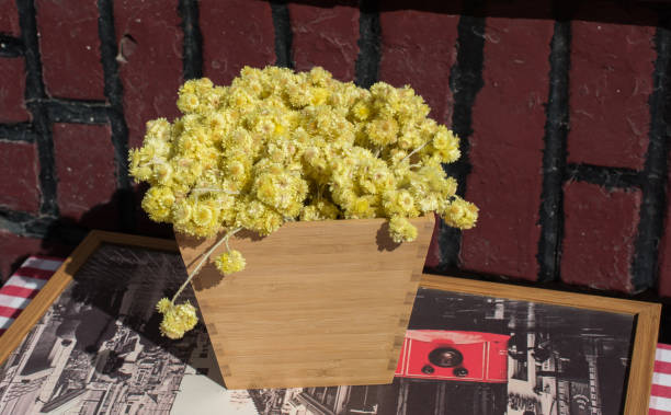 istock Amazing colorful dry  flowers in view 947710504