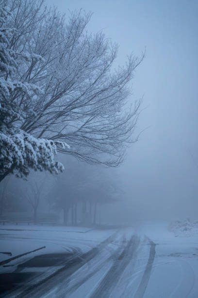 istock the morning after the snow 947713688
