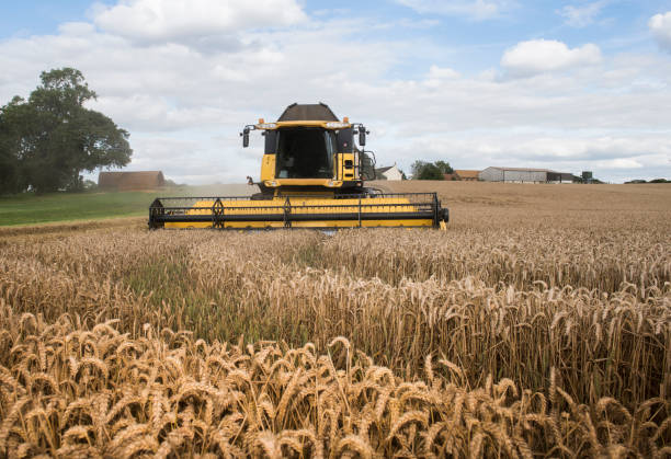 istock combine harvester working in field 947724330