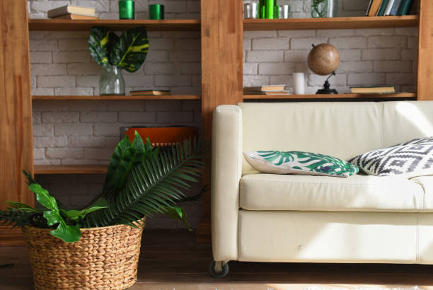 istock White leather sofa in a tropical style room 947724512