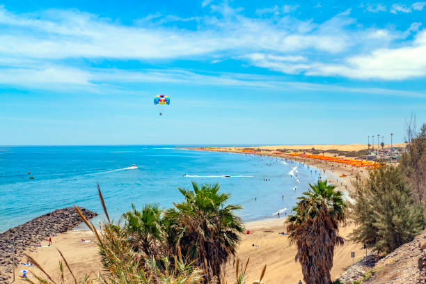 Gran Canaria beach, Spain Gran Canaria beach, Spain grand canary stock pictures, royalty-free photos & images