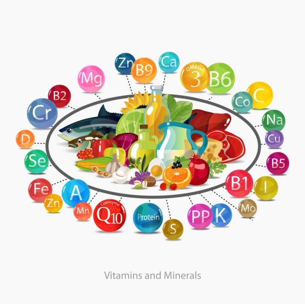 Vitamins and minerals. Healthy diet. Natural organic food - meat, dairy products, vegetables, fruits, oils. Vitamins and minerals. zinc stock illustrations