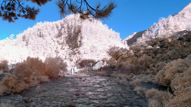 река охинемури с пышной листвой на берегах в ущелье карангахаке - infrared landscape bridge blue стоковые фото и изображения