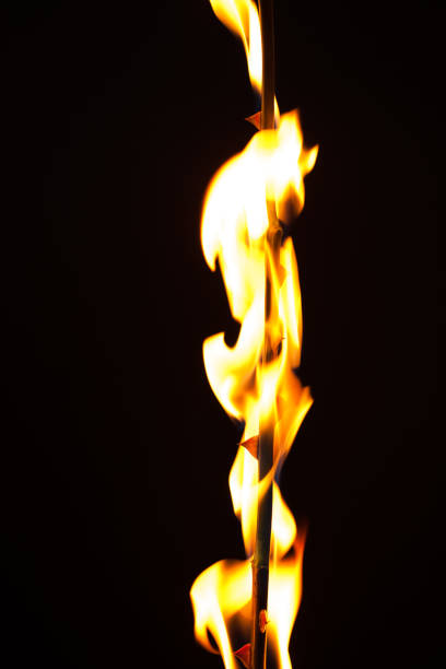 istock Beautiful picture with one beautiful flower on fire 947738616