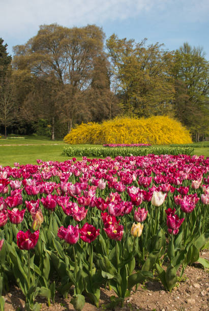istock Beautiful park with colored flowers 947746188