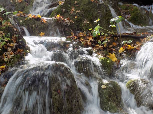 istock A waterfall in Plitvice Lakes National Park, Croatia 947748240