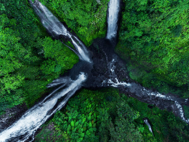 cascadas de sekumpul en bali, indonesia - white mid air rain wind fotografías e imágenes de stock