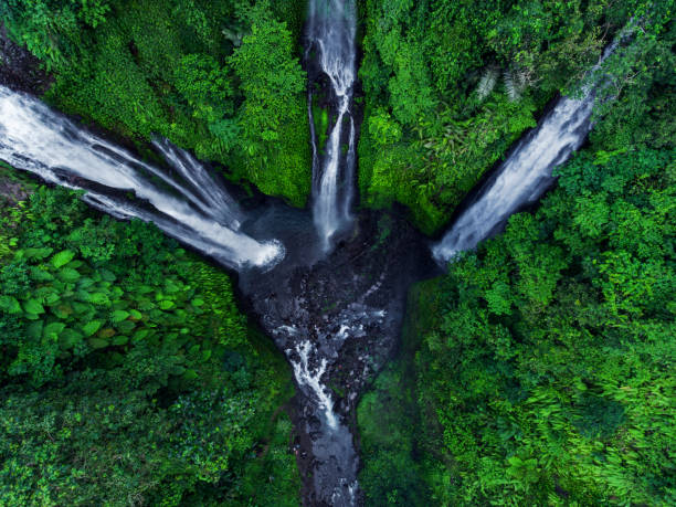 istock Sekumpul waterfalls in Bali, Indonesia 947748906