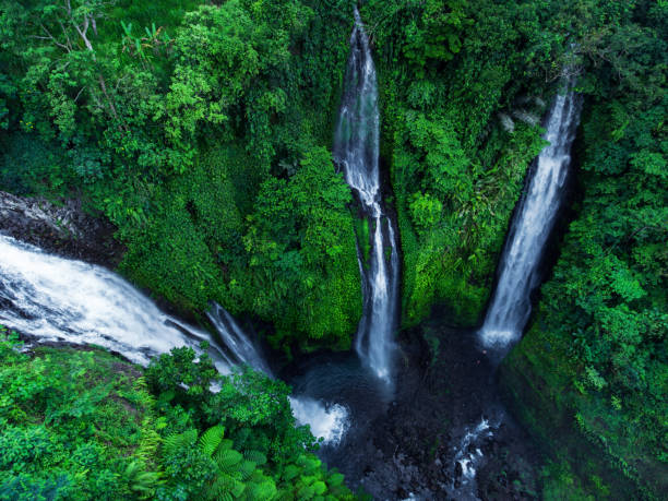 istock Sekumpul waterfalls in Bali, Indonesia 947748920