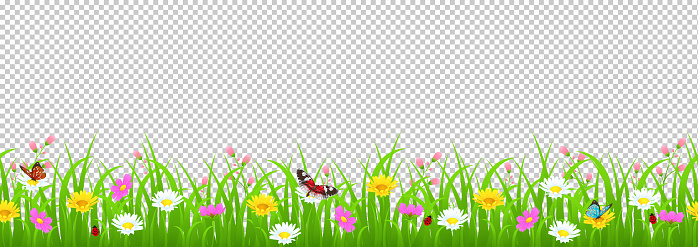 Flowers and grass border, yellow and white chamomile and delicate pink meadow flowers and green grass, butterflies and ladybug on transparent background, vector illustration, card element