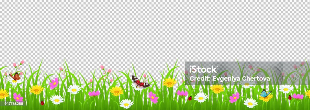 Flowers and grass border, yellow and white chamomile and delicate pink meadow flowers and green grass, butterflies and ladybug on transparent background, vector illustration, card decoration element Flowers and grass border, yellow and white chamomile and delicate pink meadow flowers and green grass, butterflies and ladybug on transparent background, vector illustration, card element Flower stock vector