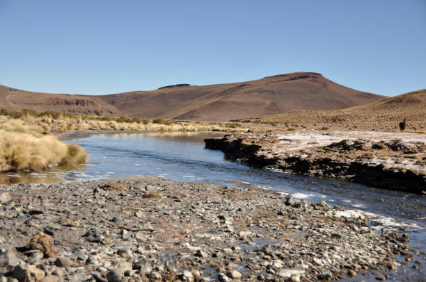 istock Bolivia salar de uyuni 947776112