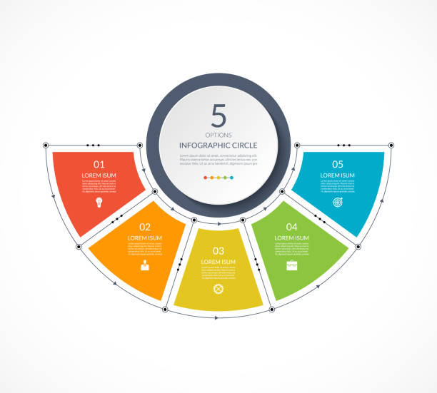 инфографика полукруг в тонкой линии плоский стиль. шаблон бизнес-презентации с 5 вариантами, частями, шагами. может быть использован для диа - полукруг stock illustrations