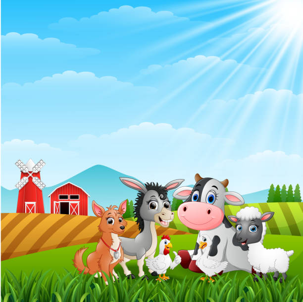 Cute Animals Farm In The Hills Stock Illustration - Download Image Now -  Agricultural Field, Agriculture, Animal - iStock