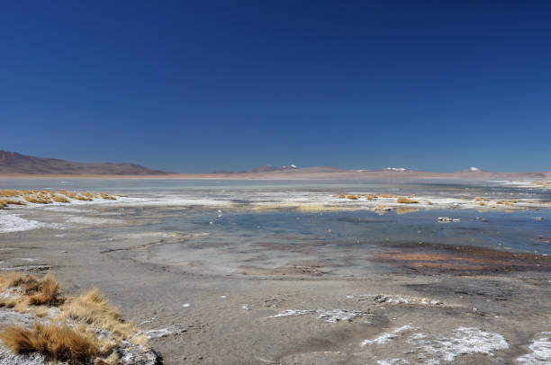 istock Bolivia Salar de uyuni 947805930