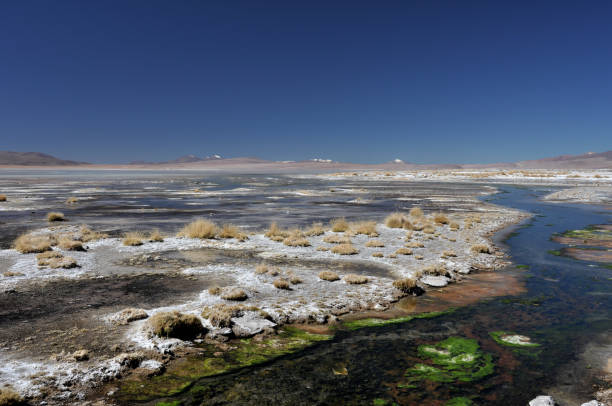 istock Bolivia Salar de uyuni 947810318