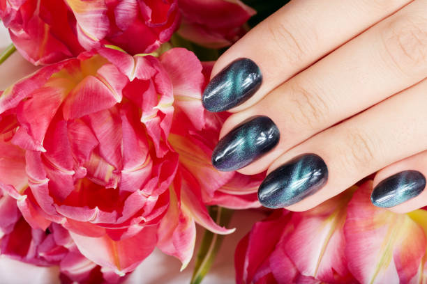 istock Hands with manicured nails with cat eye design and tulip flower 947812004