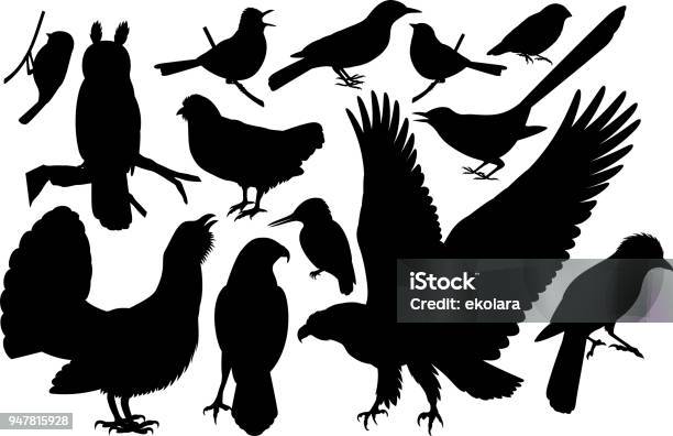 Vector Set Of Woodland Birds Silhouettes Stock Illustration - Download Image Now - Kingfisher, In Silhouette, Cut Out