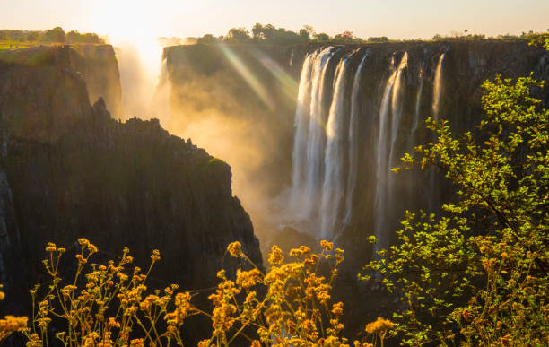 chutes victoria - victoria falls waterfall zimbabwe zambia photos et images de collection