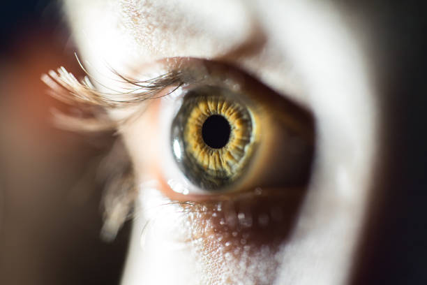 istock Macro Of Green Female Eye Iris 947820836