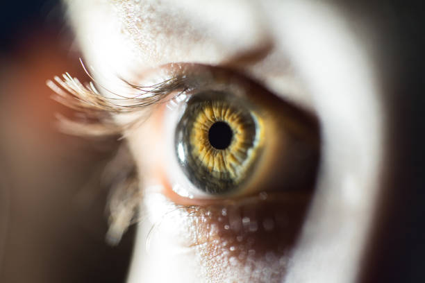 istock Macro Of Green Female Eye Iris 947820944