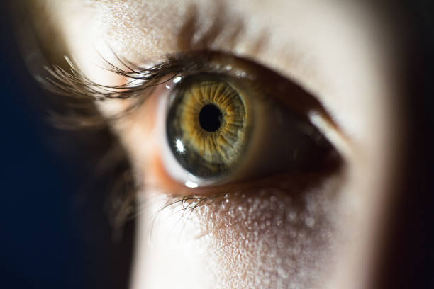 istock Macro Of Green Female Eye Iris 947821024