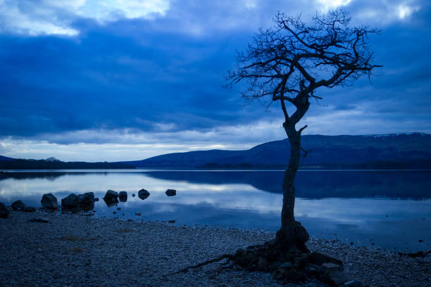 istock Lone Tree of Loch Lomond 947821086