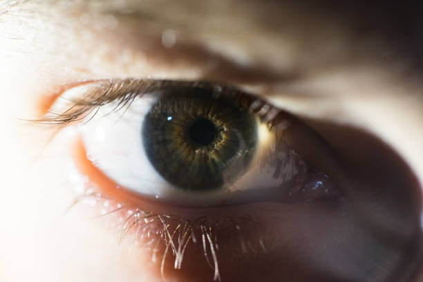 istock Macro Of Green Female Eye Iris 947821090